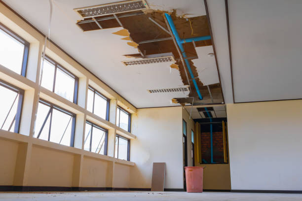 Best 24-hour water damage restoration  in Somerset, MD