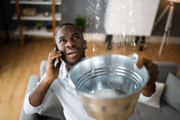 Best Local water damage restoration  in Somerset, MD