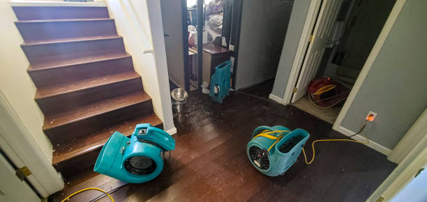 Best Water damage restoration services  in Somerset, MD