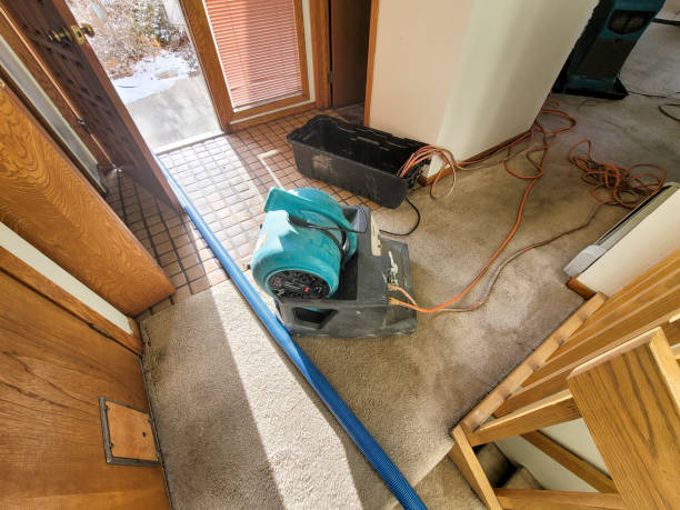 Best Flooded house restoration  in Somerset, MD