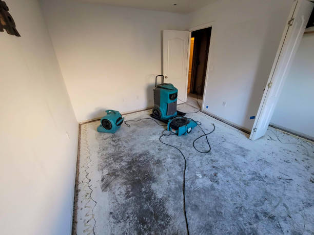 Best Sewage cleanup and water damage restoration  in Somerset, MD