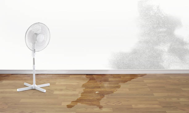 Best Water damage restoration experts  in Somerset, MD