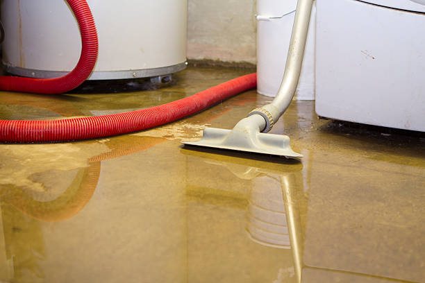 Water damage restoration experts in Somerset, MD