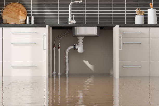 Best Fire Damage Restoration  in Somerset, MD