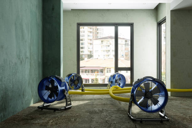 Best Commercial water damage restoration  in Somerset, MD